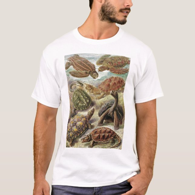 Ernst Haeckel - Chelonia T-Shirt (Front)