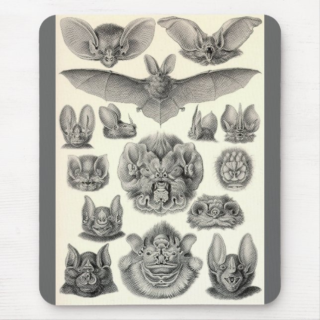 Ernst Haeckel - Chiroptera Bats Mouse Pad (Front)