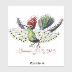 Ernst Haeckel Colourful Hummingbird Nature Art