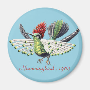 Ernst Haeckel Colourful Hummingbird Nature Art Magnet