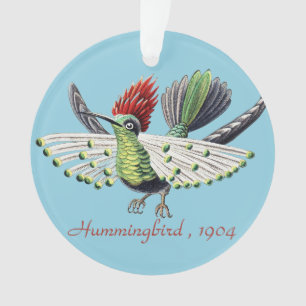 Ernst Haeckel Colourful Hummingbird Nature Art Ornament