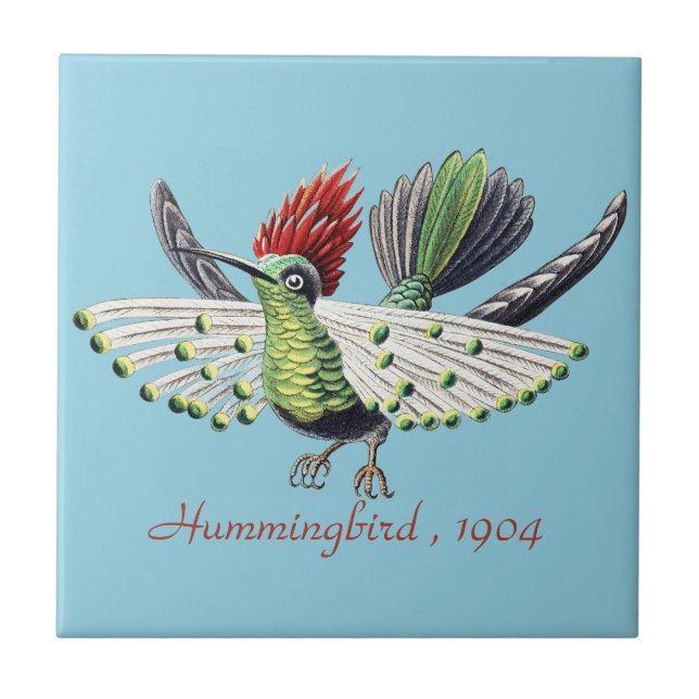 Ernst Haeckel Colourful Hummingbird Nature Art Tile (Front)