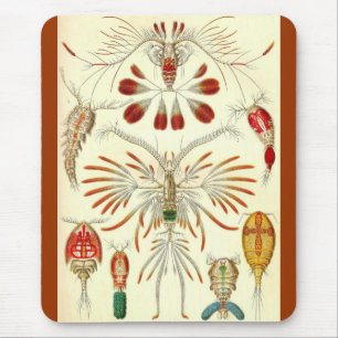 Ernst Haeckel - Copepoda Mouse Pad
