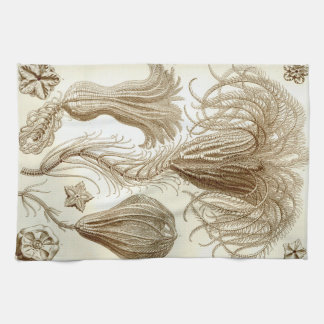 Ernst Haeckel Crinoidea feather stars Tea Towel