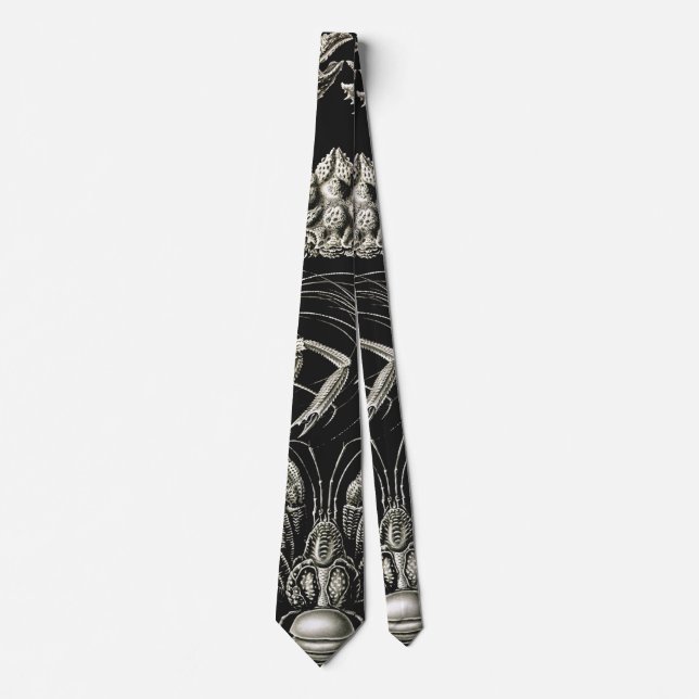 Ernst Haeckel Decapoda Tie (Front)