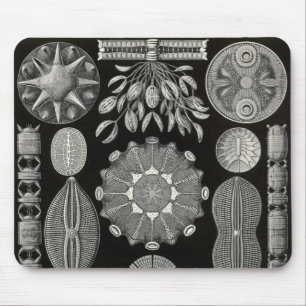 Ernst Haeckel - Diatomea2 Detail3 Mouse Pad