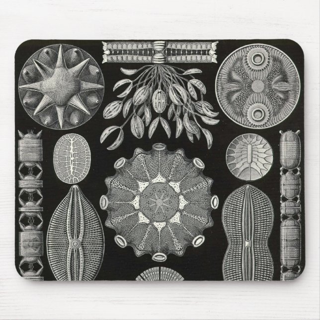Ernst Haeckel - Diatomea2 Detail3 Mouse Pad (Front)