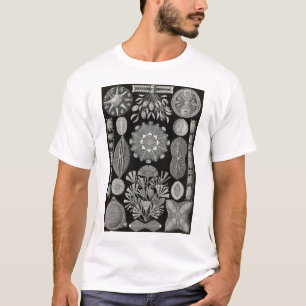 Ernst Haeckel - Diatomea2 T-Shirt