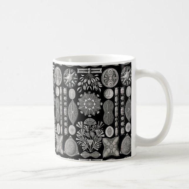 Ernst Haeckel  Diatomea Coffee Mug (Right)