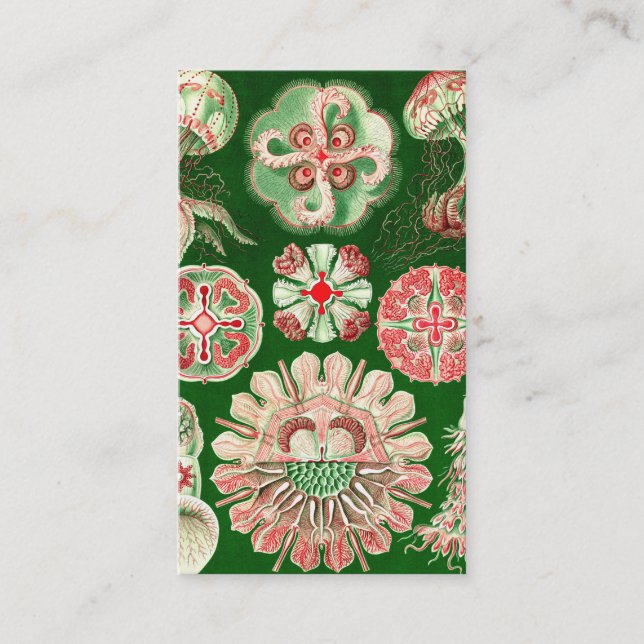 Ernst Haeckel Discomedusae (Aurelia) Business Card (Front)