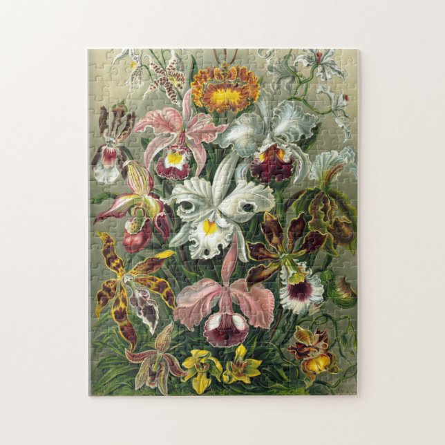 Ernst Haeckel Flowers Puzzle (Vertical)