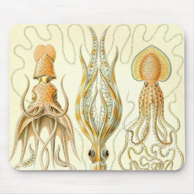 Ernst Haeckel - Gamochonia Detail Mouse Pad (Front)