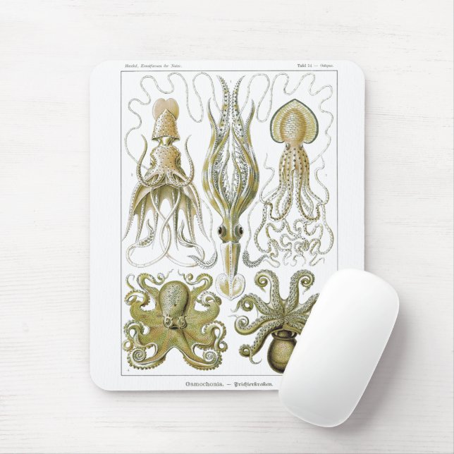 Ernst Haeckel Gamochonia Octopus & Squid Mouse Pad (With Mouse)