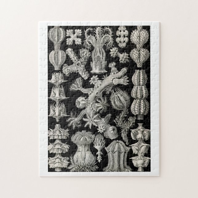 Ernst Haeckel Gorgonia Jigsaw Puzzle (Vertical)