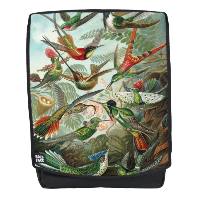 Ernst Haeckel Hummingbirds - Art Forms of Nature Backpack (Front)