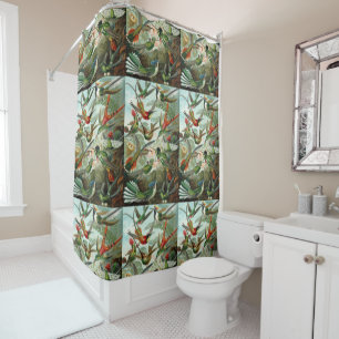 Ernst Haeckel Hummingbirds - Art Forms of Nature Shower Curtain
