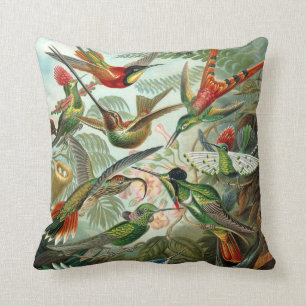 Ernst Haeckel ~ Hummingbirds Cushions