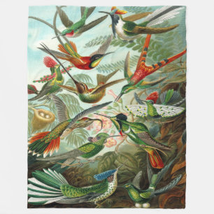 Ernst Haeckel Hummingbirds Fleece Blanket