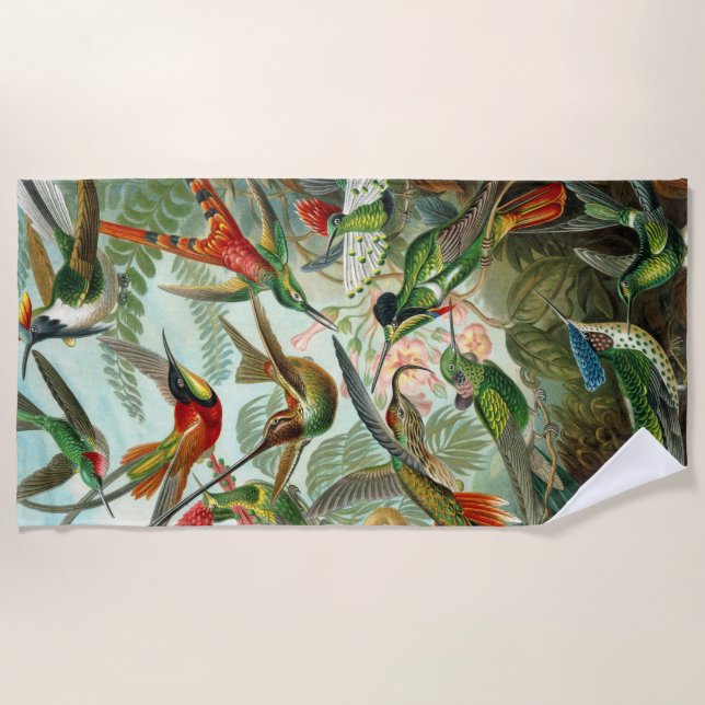 Ernst haeckel Hummingbirds Fun Beach Towel (Front)