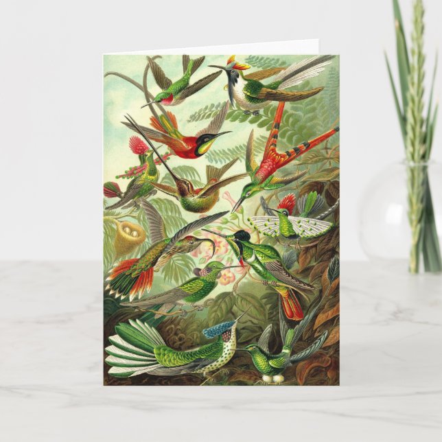 Ernst Haeckel — Hummingbirds Trochilidae Card (Front)