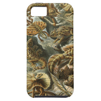 Ernst Haeckel - Lacertilia Tough iPhone 5 Case
