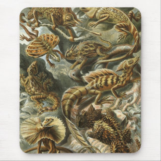 Ernst Haeckel - Lacertilia Mouse Pad