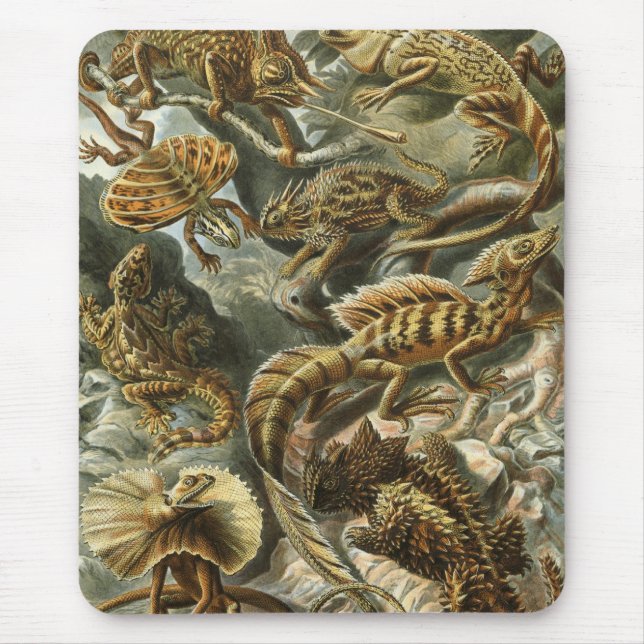 Ernst Haeckel - Lacertilia Mouse Pad (Front)