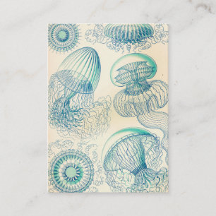 Ernst Haeckel   Leptomedusa   Thecate Hydroids Business Card