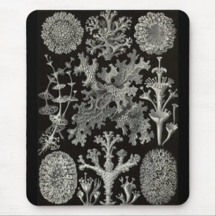 Ernst Haeckel - Lichenes Mouse Pad