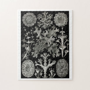 Ernst Haeckel Lichens Jigsaw Puzzle