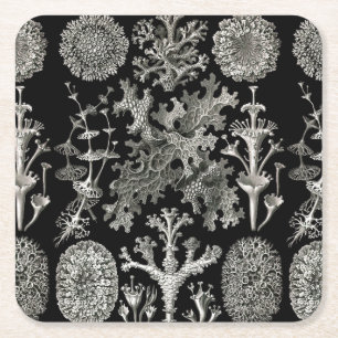 Ernst Haeckel Lichens Square Paper Coaster