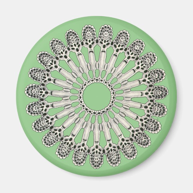 Ernst Haeckel Magnet (Front)