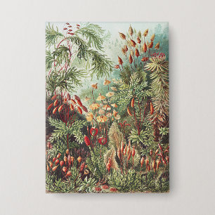 Ernst Haeckel Moss Nature Print Dark Academia