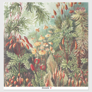 Ernst Haeckel Moss Nature Print Dark Academia
