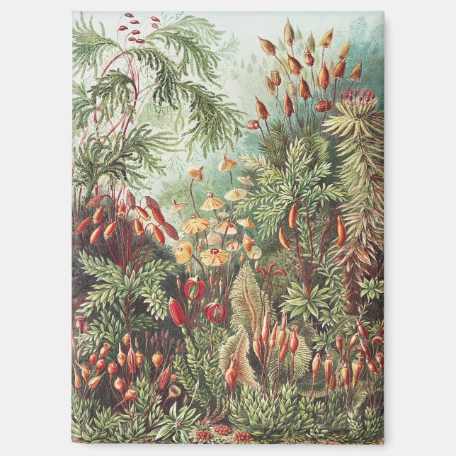 Ernst Haeckel Moss Nature Print Dark Academia Magnet (Front)