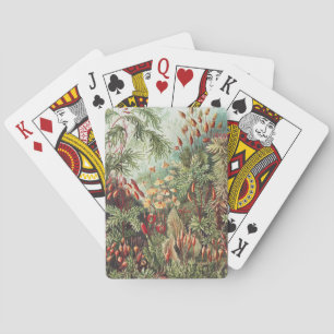 Ernst Haeckel Moss Nature Print Dark Academia Playing Cards