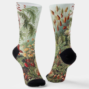 Ernst Haeckel Moss Nature Print Dark Academia Socks