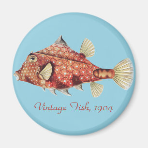 Ernst Haeckel Nautical Red Boxfish Sea Life Magnet