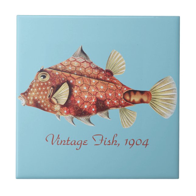 Ernst Haeckel Nautical Red Boxfish Sea Life Tile (Front)
