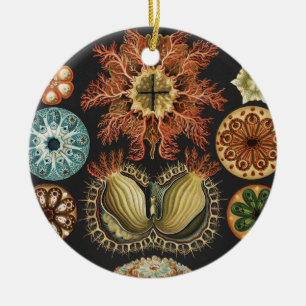 Ernst Haeckel Nautical Sea Life Art Collage Ceramic Tree Decoration
