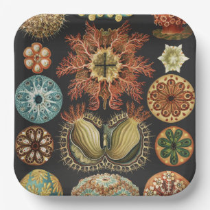 Ernst Haeckel Nautical Sea Life Art Collage Paper Plate