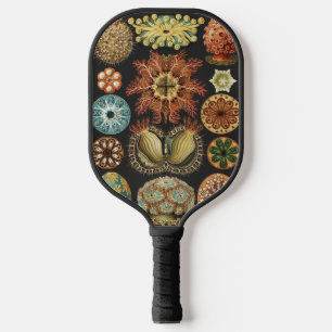 Ernst Haeckel Nautical Sea Life Art Collage Pickleball Paddle