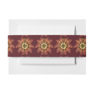 Ernst Haeckel Nautical Tunicate Red Sea Life Art Invitation Belly Band