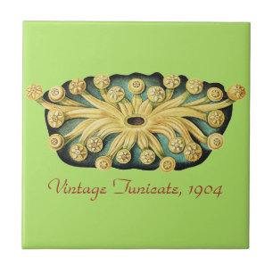 Ernst Haeckel Nautical Yellow Sunburst Art Tile
