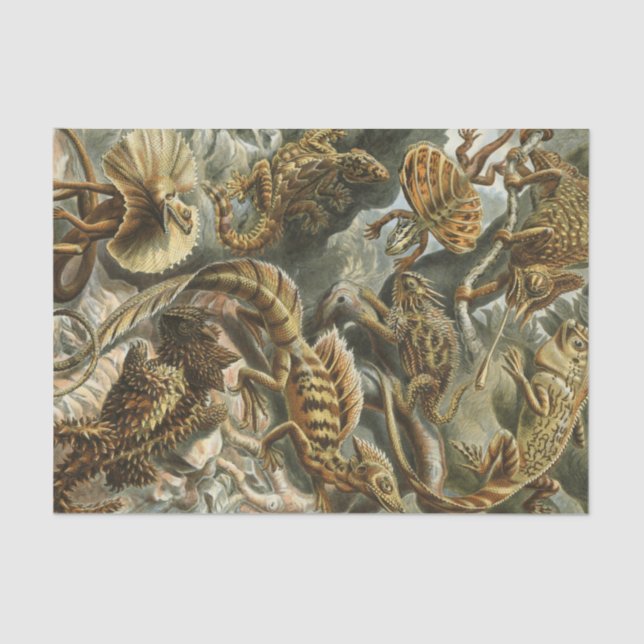 Ernst Haeckel old fashion illustration Lacertilia Tissue Paper (Front)