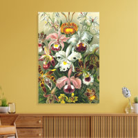 Ernst Haeckel Orchids, Vintage Rainforest Flowers