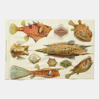 Ernst Haeckel Ostraciontes boxfish cowfish Tea Towel