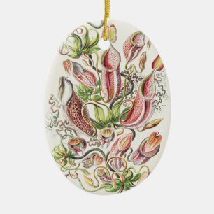Ernst Haeckel Pitcher Plant Scientific Illustratio Ceramic Tree Decoration