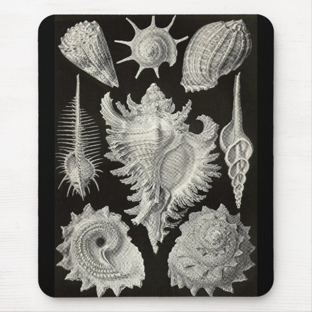 Ernst Haeckel - Prosobranchia Mouse Pad (Front)