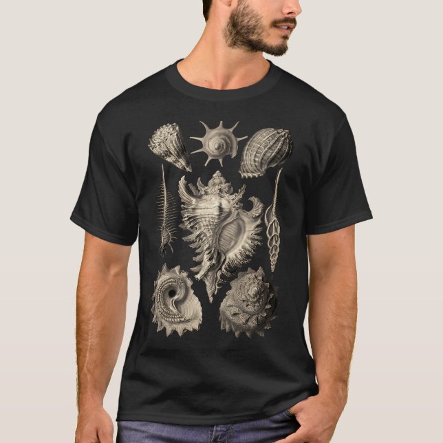 Ernst Haeckel Prosobranchia Sea Shells T-Shirt (Front)